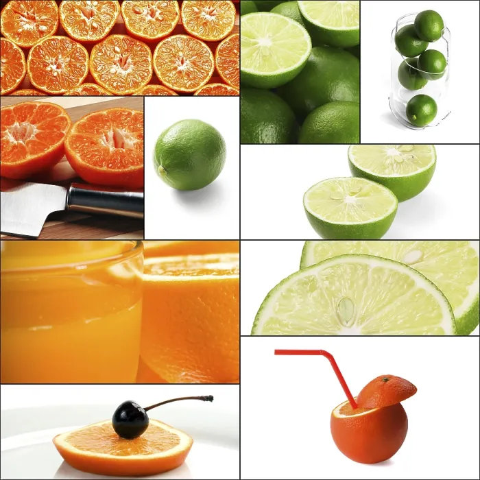 Framed Print : Fresh Citrus Fruits Print in Square Frame Framed Print : Fresh Citrus Fruits Print in Square Frame