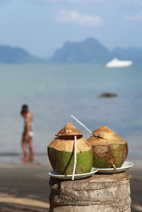 Framed Print : Fresh Coconut Print Framed Print : Fresh Coconut Print