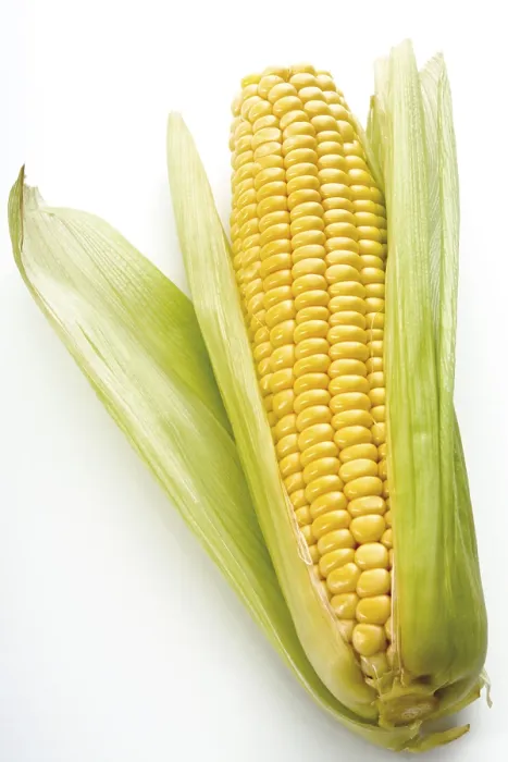 Framed Print : Fresh Corn on the Cob Print Framed Print : Fresh Corn on the Cob Print