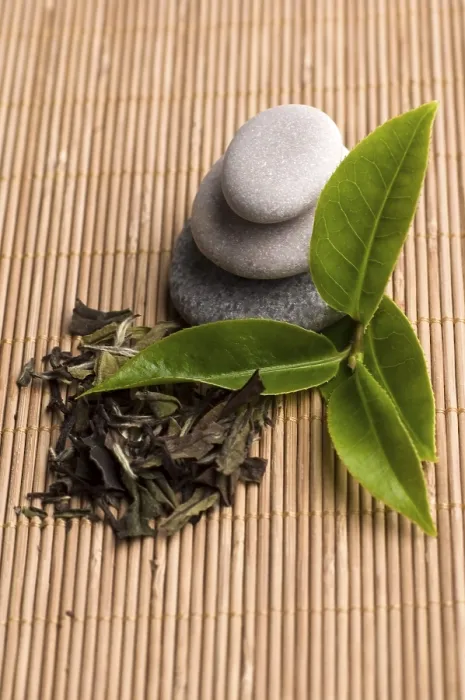 Framed Print : Fresh and Dried Tea Print Framed Print : Fresh and Dried Tea Print