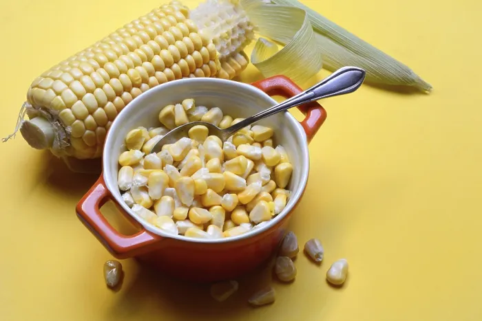Framed Print : Fresh Maize Kernels Print, Zea mays Framed Print : Fresh Maize Kernels Print, Zea mays