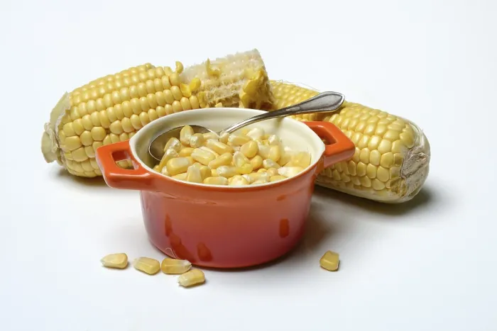 Framed Print : Fresh Maize Kernels Print in Pots and Cobs