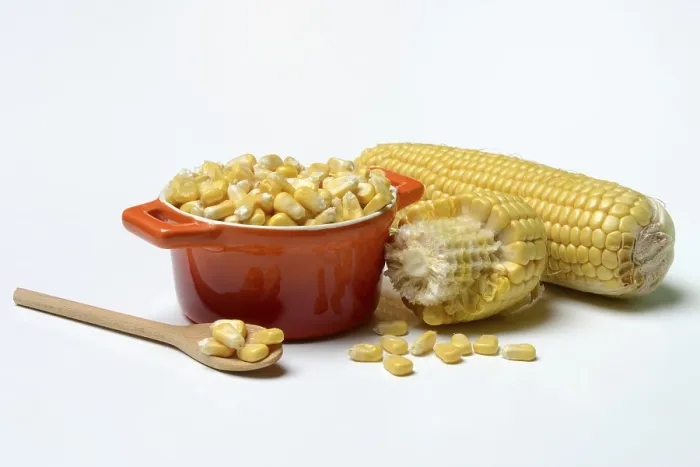 Framed Print : Fresh Maize Kernels in Pots and Cobs Print Framed Print : Fresh Maize Kernels in Pots and Cobs Print