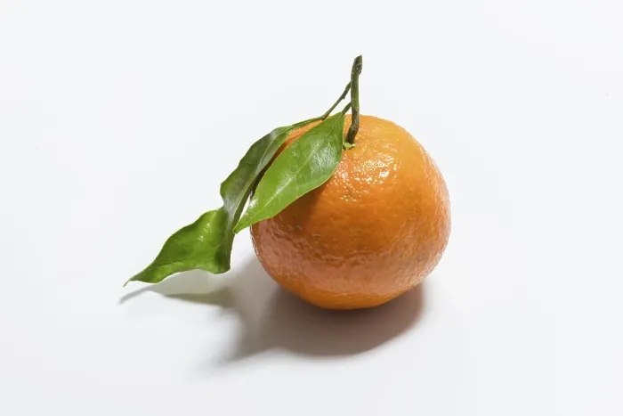 Framed Print : Fresh Mandarin with Leaf Print Framed Print : Fresh Mandarin with Leaf Print