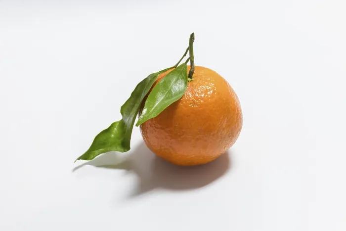 Framed Print : Fresh Mandarin with Leaf Print Framed Print : Fresh Mandarin with Leaf Print