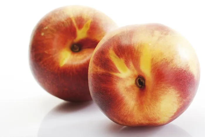 Framed Print : Two Fresh Nectarines Print Framed Print : Two Fresh Nectarines Print