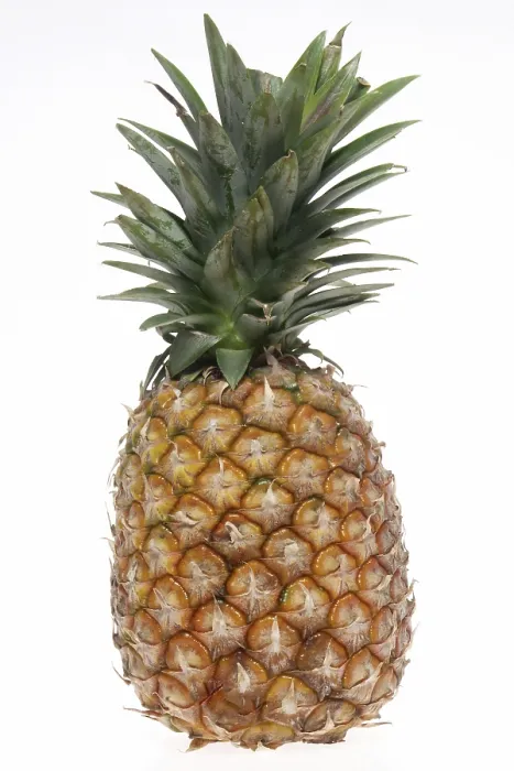 Framed Print : Fresh Pineapple Print, Hamburg, Germany Framed Print : Fresh Pineapple Print, Hamburg, Germany