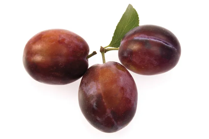 Framed Print : Three Fresh Plums Print Framed Print : Three Fresh Plums Print