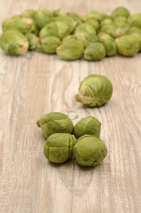 Framed Print : Fresh Sprouts Print on Rustic Wooden Table Framed Print : Fresh Sprouts Print on Rustic Wooden Table