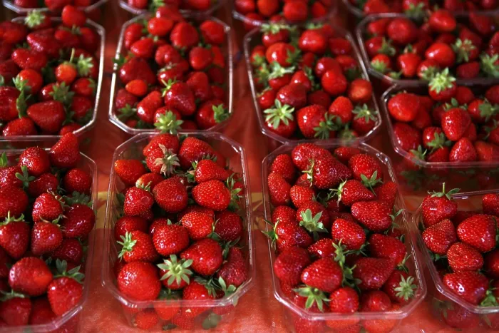 Framed Print : Fresh Strawberries Print Framed Print : Fresh Strawberries Print