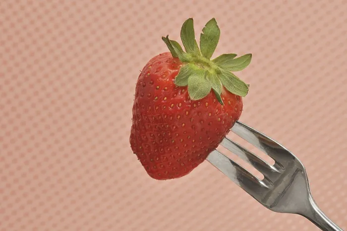 Framed Print : Fresh Strawberry on a Fork Print Framed Print : Fresh Strawberry on a Fork Print