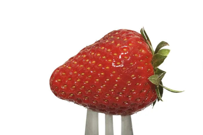 Framed Print : Fresh Strawberry on a Fork Print Framed Print : Fresh Strawberry on a Fork Print