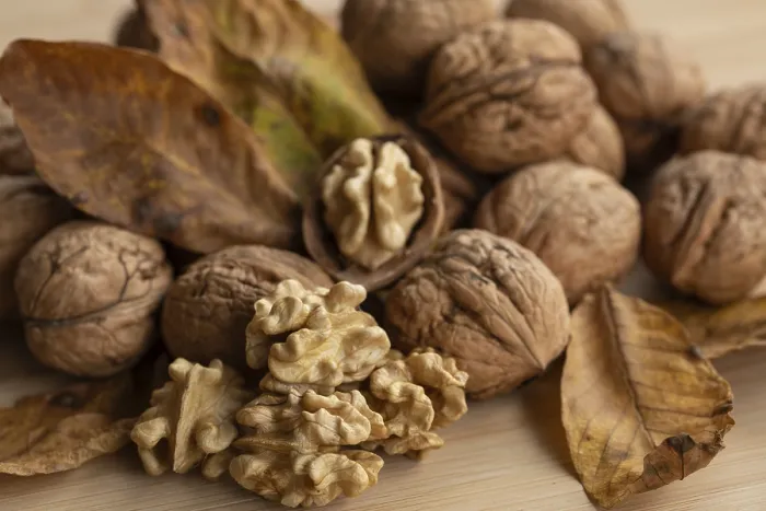 Framed Print : Fresh Walnuts from Germany Print Framed Print : Fresh Walnuts from Germany Print