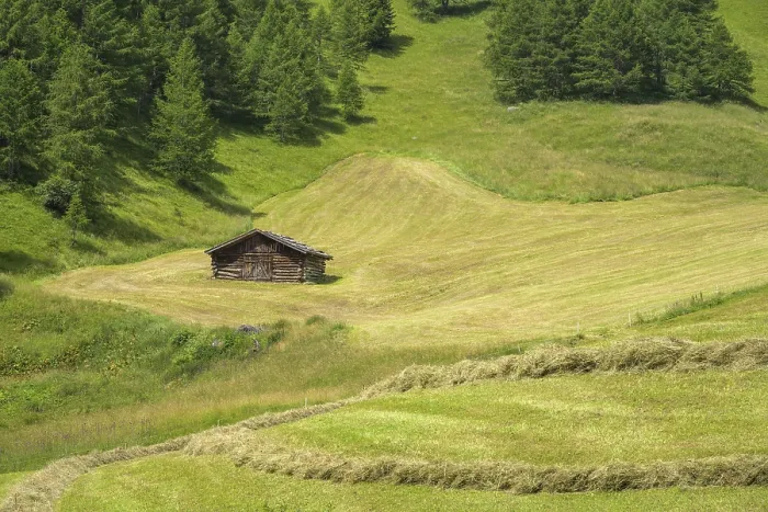 Framed Print : Freshly Mown Meadow and Haystack Print, South Tyrol, Italy Framed Print : Freshly Mown Meadow and Haystack Print, South Tyrol, Italy