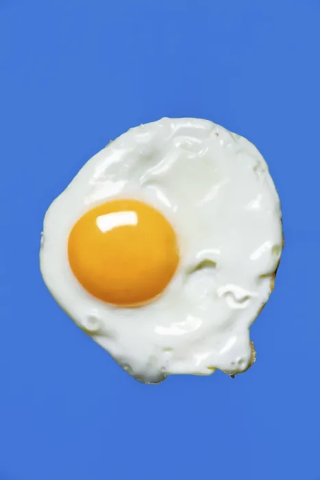 Framed Print : Fried Egg Print Framed Print : Fried Egg Print