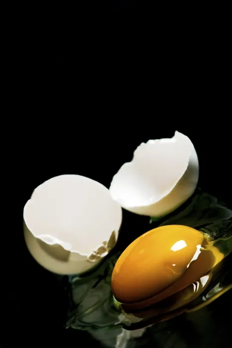 Framed Print : Fried Egg Print Framed Print : Fried Egg Print