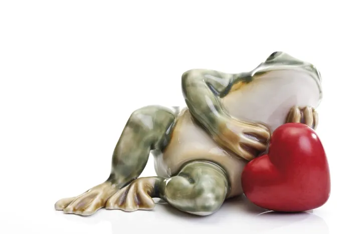Framed Print : Print of Frog and Heart by ImageBROKER Framed Print : Print of Frog and Heart by ImageBROKER