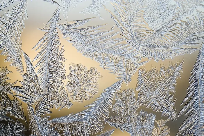 Framed Print : Frost Flowers on Window Print