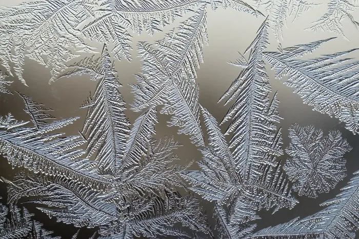 Framed Print : Frost Flowers on Window Print Framed Print : Frost Flowers on Window Print