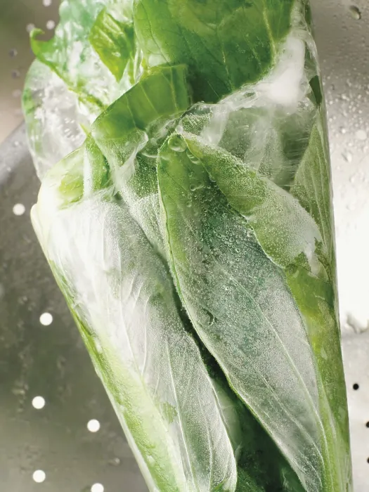 Framed Print : Frosted Pak Choi Print Framed Print : Frosted Pak Choi Print