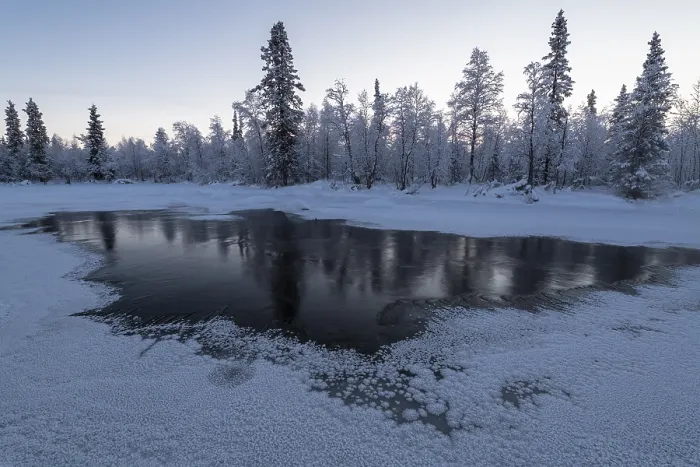 Framed Print : Frosted Trees Print, Jerisjoki River, Muonio, Finland Framed Print : Frosted Trees Print, Jerisjoki River, Muonio, Finland