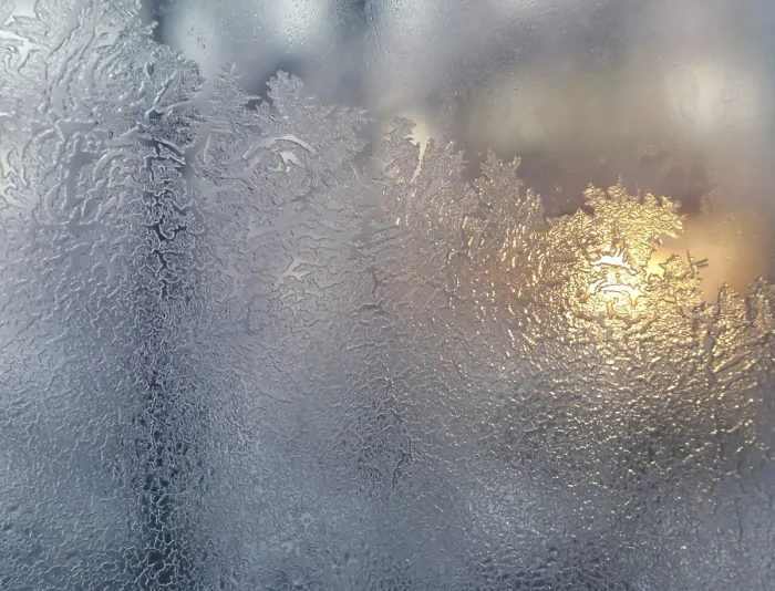 Framed Print : Frosty Windowpane Print with Sunlight Framed Print : Frosty Windowpane Print with Sunlight