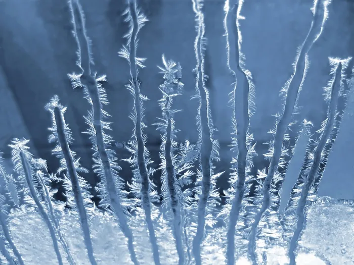 Framed Print : Frosty Winter Window Print Framed Print : Frosty Winter Window Print