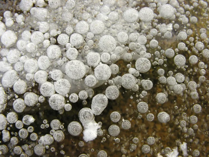 Framed Print : Frozen Air Bubbles Print Framed Print : Frozen Air Bubbles Print