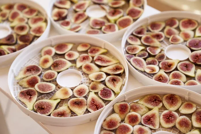 Framed Print : Fruit Drying Process Print - Close Up Framed Print : Fruit Drying Process Print - Close Up
