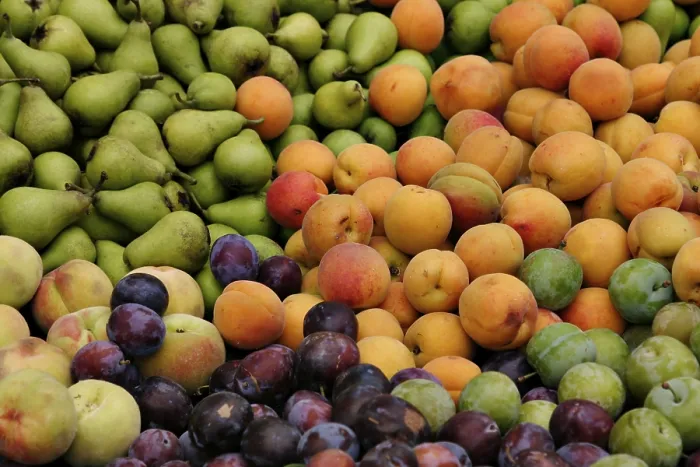 Framed Print : Colorful Fruits Print Framed Print : Colorful Fruits Print