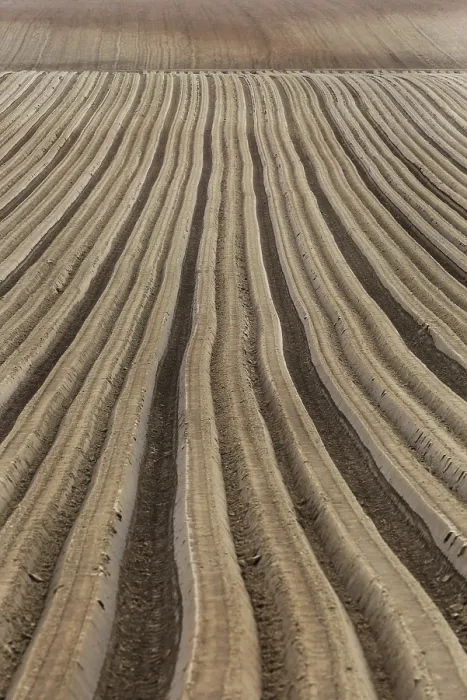 Framed Print : Furrows Print by ImageBROKER