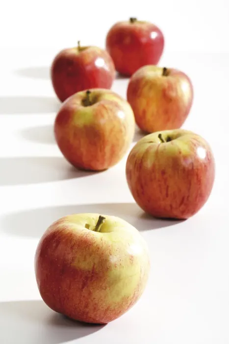 Framed Print : Gala Apples Print Framed Print : Gala Apples Print