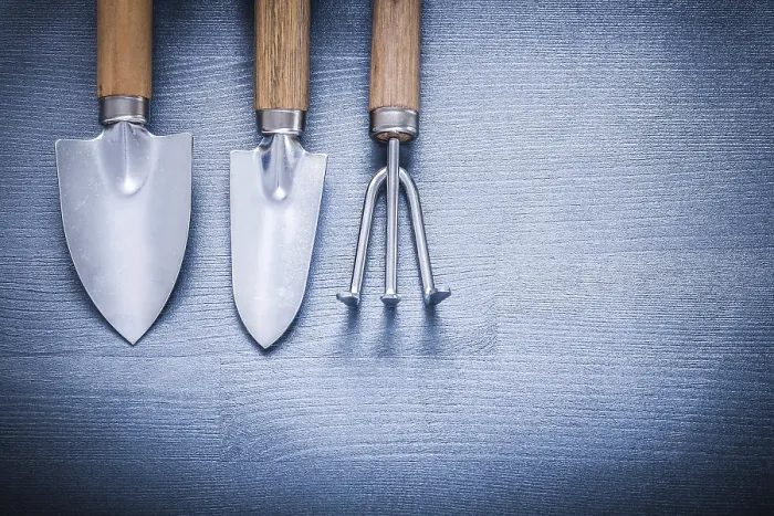 Framed Print : Two Garden Spades and Fork Print Framed Print : Two Garden Spades and Fork Print