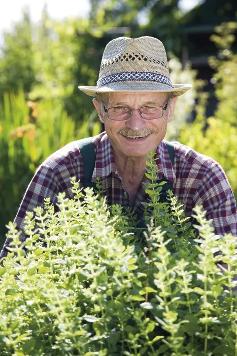 Framed Print : Gardener in Herbal Patch Print Framed Print : Gardener in Herbal Patch Print