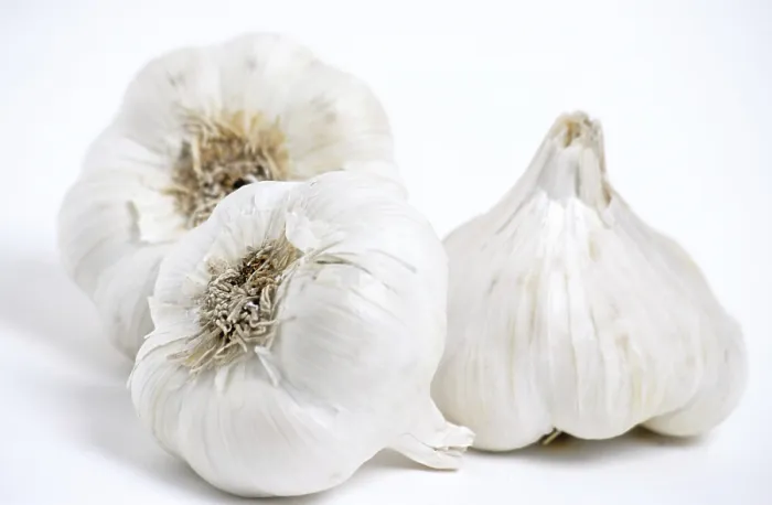 Framed Print : Garlic Print by ImageBROKER Framed Print : Garlic Print by ImageBROKER