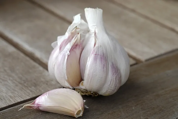 Framed Print : Garlic Print by imageBROKER Framed Print : Garlic Print by imageBROKER