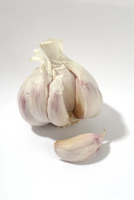 Framed Print : Garlic Print by imageBROKER Framed Print : Garlic Print by imageBROKER