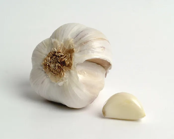 Framed Print : Print of Garlic by Claude Monet Framed Print : Print of Garlic by Claude Monet