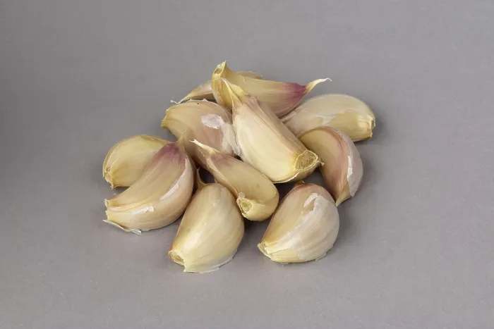 Framed Print : Garlic Print by ImageBROKER Framed Print : Garlic Print by ImageBROKER