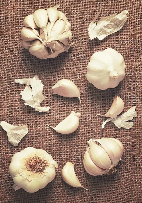 Framed Print : Rustic Garlic on Burlap Print, Vertical Top View Framed Print : Rustic Garlic on Burlap Print, Vertical Top View