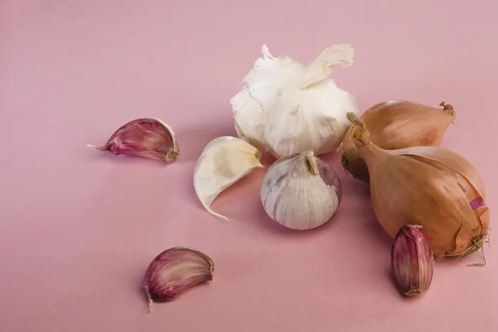 Framed Print : Garlic and Shallots Print Framed Print : Garlic and Shallots Print