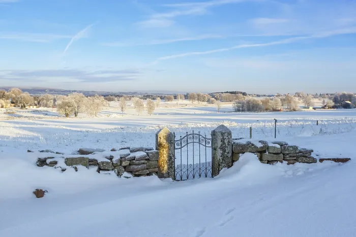 Framed Print : Gate at a stone wall covered with snow Print Framed Print : Gate at a stone wall covered with snow Print