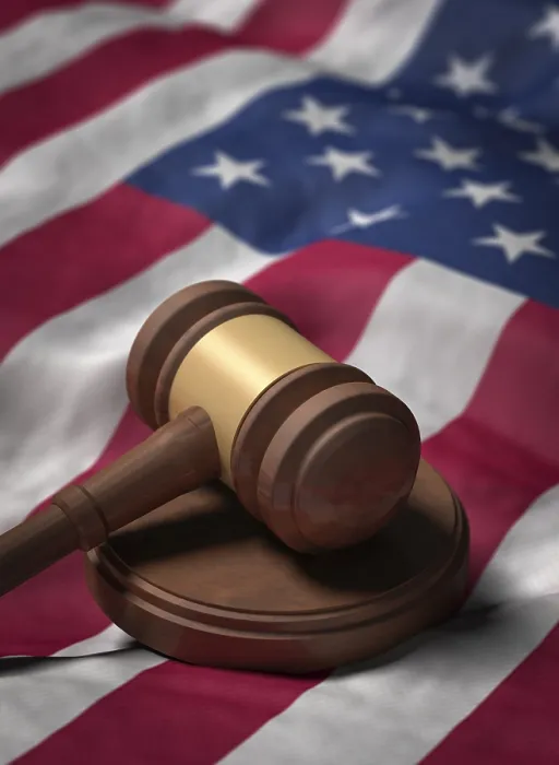 Framed Print : Gavel on US Flag Print Framed Print : Gavel on US Flag Print