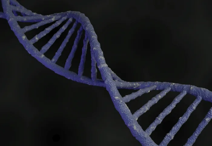 Framed Print : 3D Rendered DNA Molecule Print Framed Print : 3D Rendered DNA Molecule Print