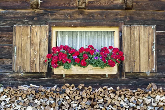 Framed Print : Mountain Hut Geraniums Print, Engalm, Austria Framed Print : Mountain Hut Geraniums Print, Engalm, Austria
