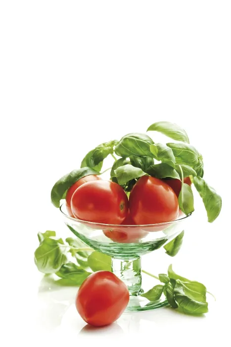 Framed Print : German Tomatoes with Basil Print Framed Print : German Tomatoes with Basil Print