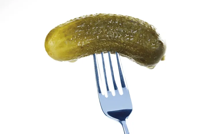 Framed Print : Gherkin on a Fork Print Framed Print : Gherkin on a Fork Print