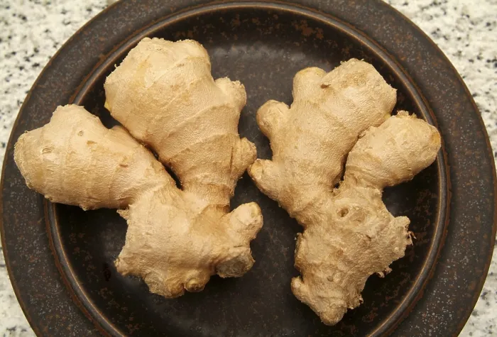 Framed Print : Ginger Ginger Print by imageBROKER Framed Print : Ginger Ginger Print by imageBROKER