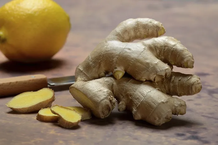 Framed Print : Ginger, Ginger Root and Slices Print - Zingiber officinale Framed Print : Ginger, Ginger Root and Slices Print - Zingiber officinale