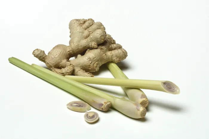 Framed Print : Ginger, Ginger Root and Lemongrass Print Framed Print : Ginger, Ginger Root and Lemongrass Print